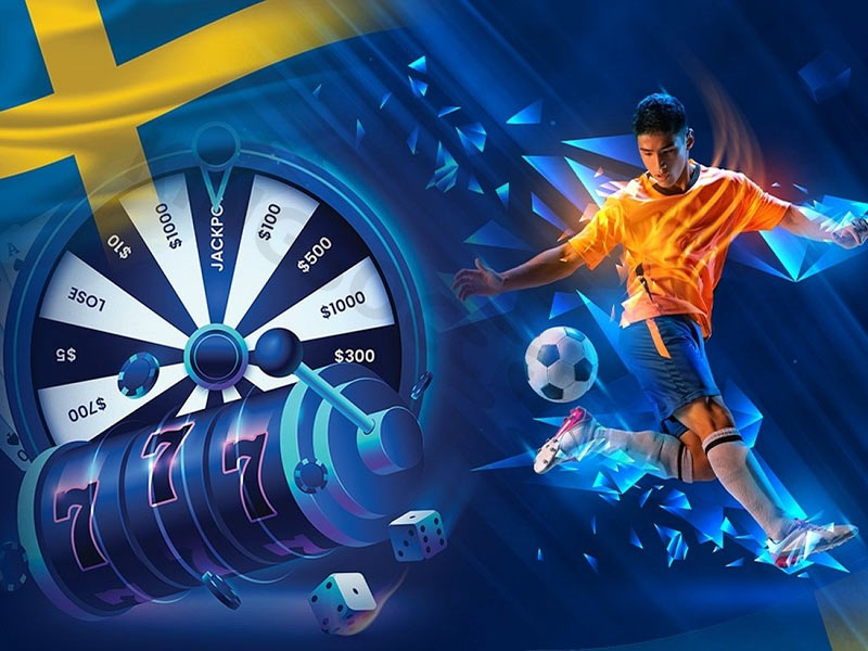 Everything You Need to Know About Betwinner 14