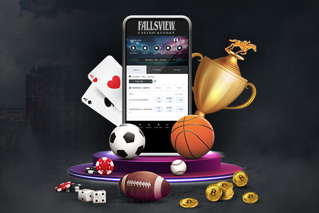Everything You Need to Know About Betwinner 14