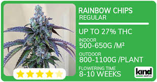 A Comprehensive Guide to Cannabis Seeds Ohio A Comprehensive Guide to Cannabis Seeds Ohio